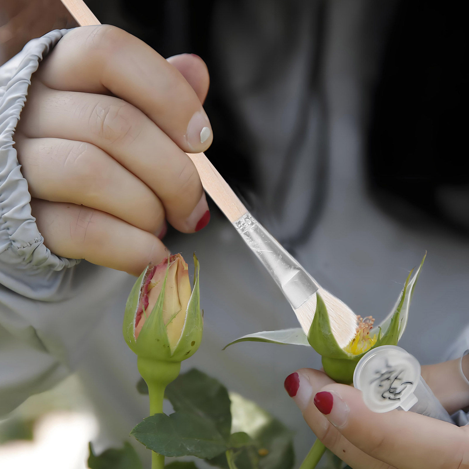 Gardening Tools Kit - 11 Parçalı Manuel Tozlayıcı Fırça Seti