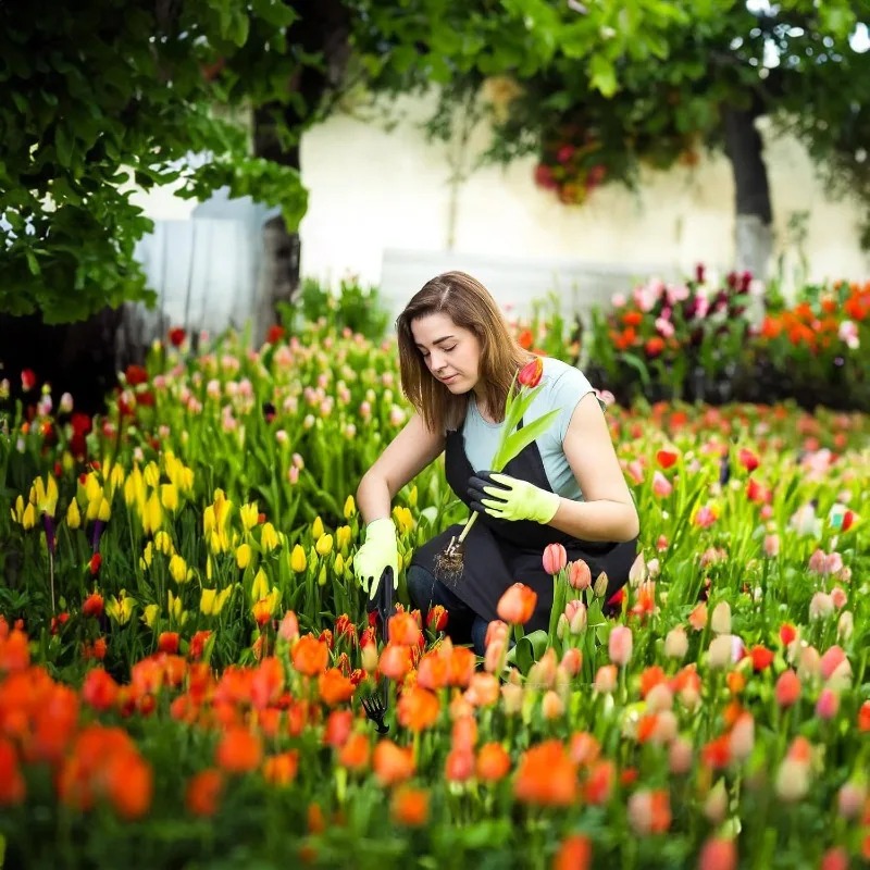 2'si 1 Arada Bahçe Tırmığı Man - Gardening Tools Shovel incelemesi ve fiyatı